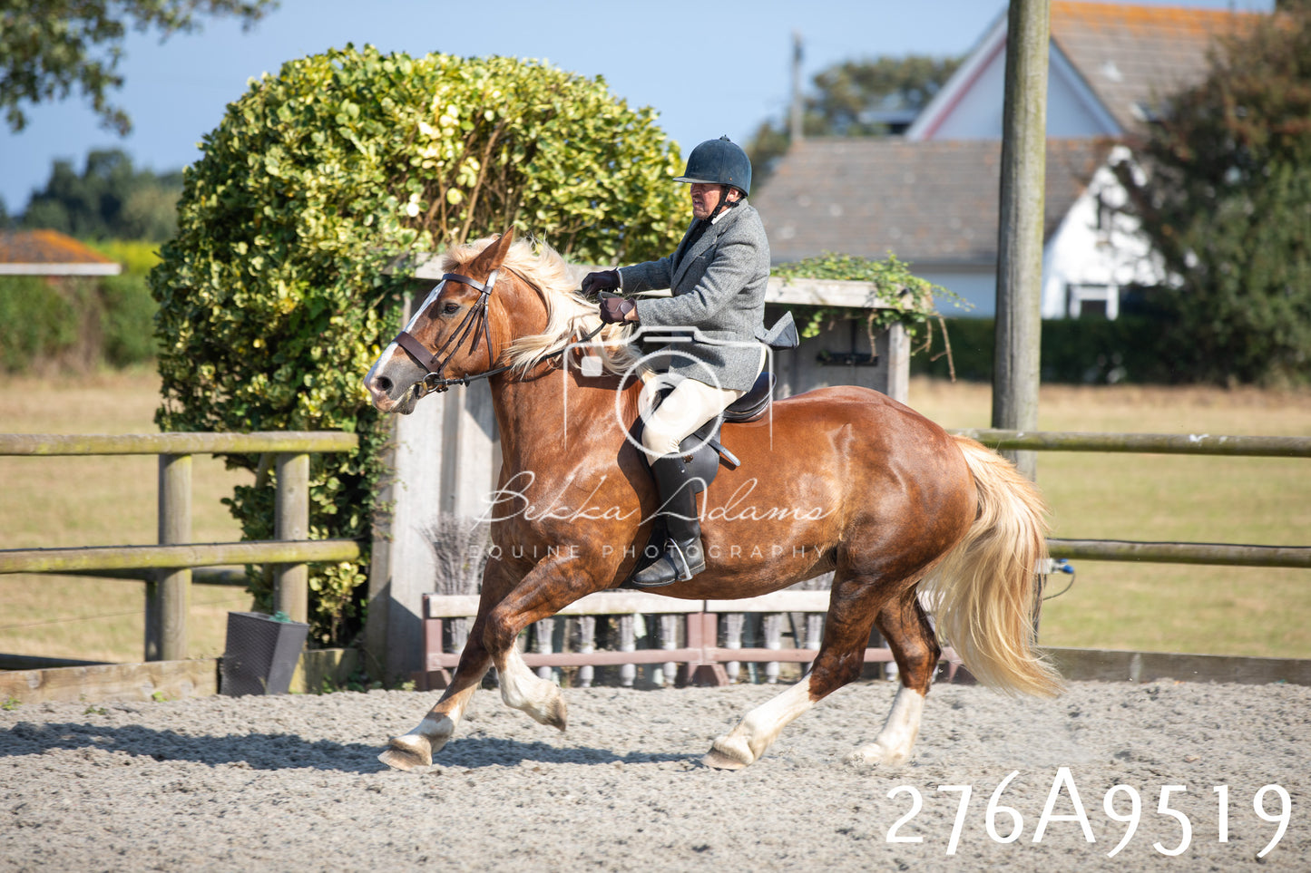 Home Farm Annual Show 2025 - Ridden Pt 1