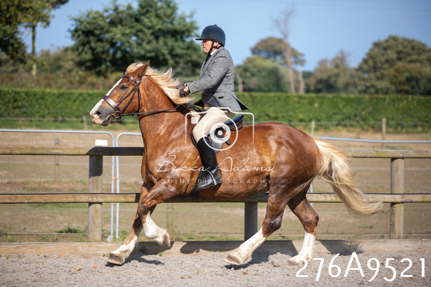 Home Farm Annual Show 2025 - Ridden Pt 1