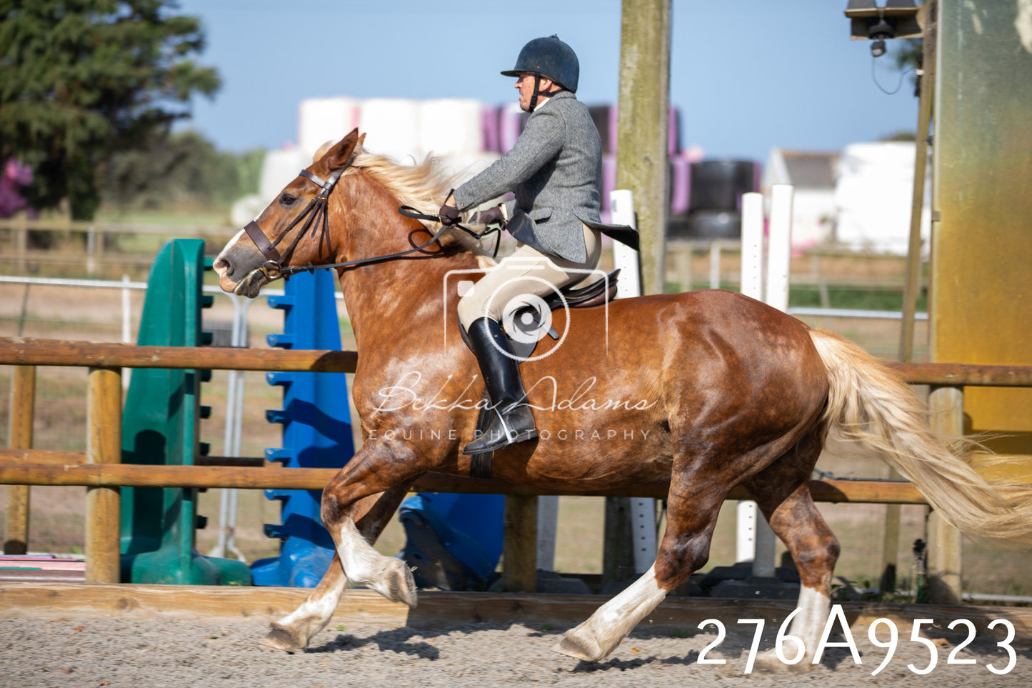 Home Farm Annual Show 2025 - Ridden Pt 3