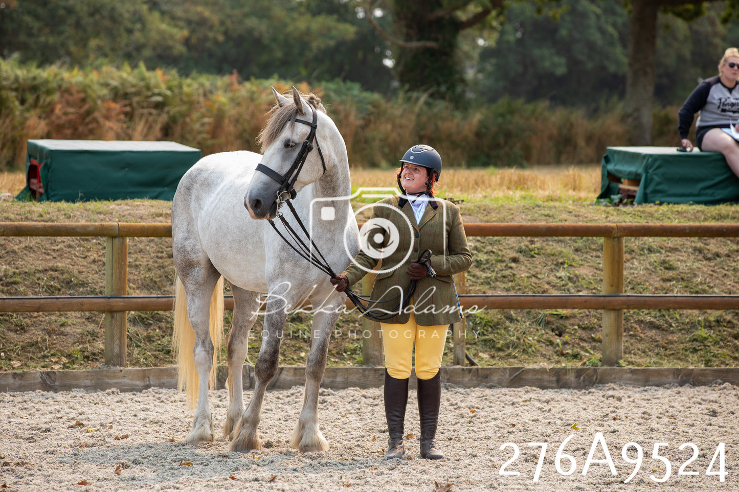 Home Farm Annual Show 2025 - Inhand Pt 2