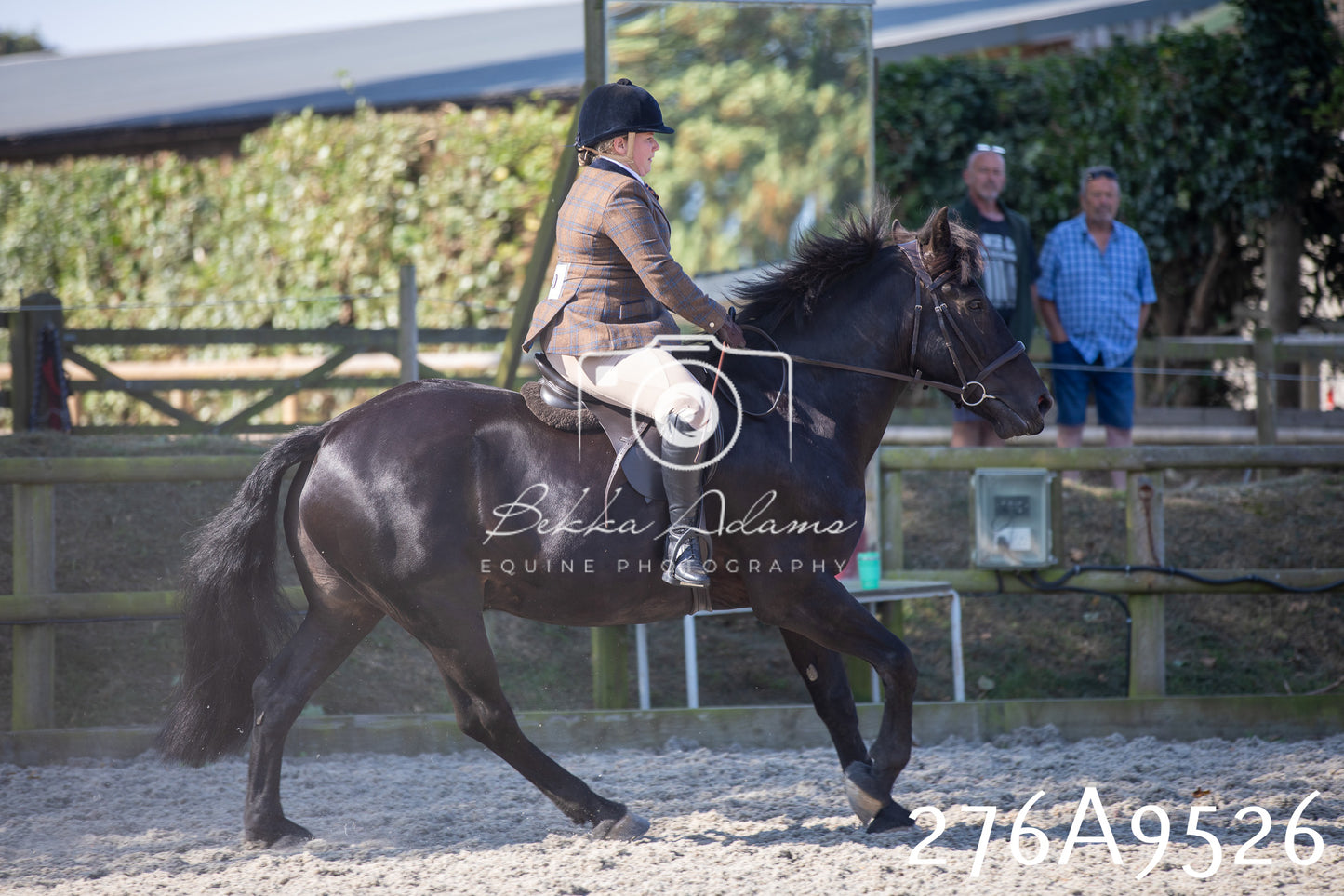 Home Farm Annual Show 2025 - Ridden Pt 3