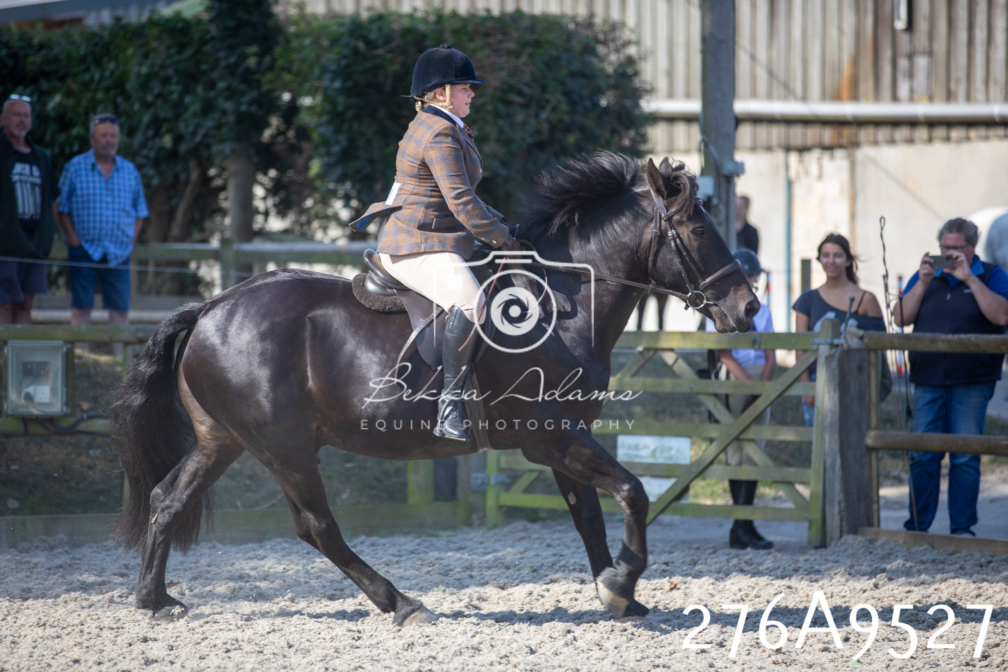 Home Farm Annual Show 2025 - Ridden Pt 3