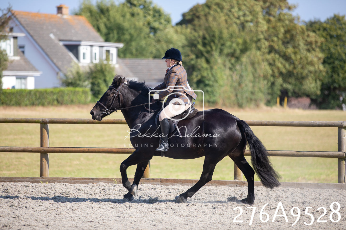 Home Farm Annual Show 2025 - Ridden Pt 3