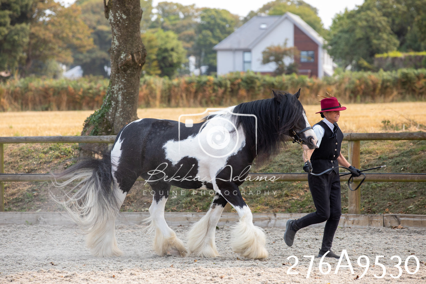 Home Farm Annual Show 2025 - Inhand Pt 2