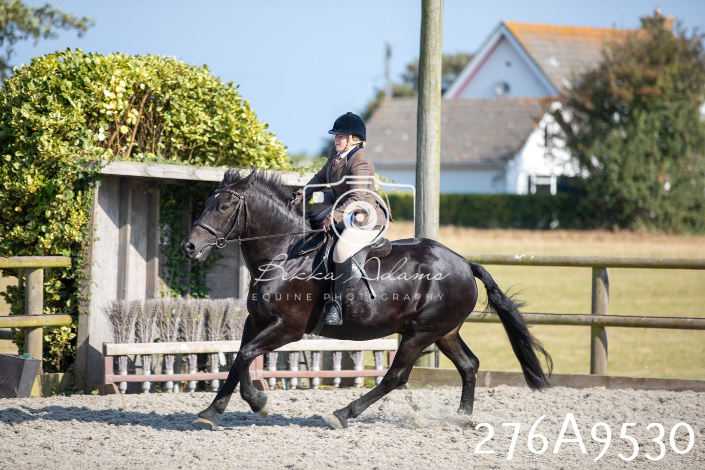 Home Farm Annual Show 2025 - Ridden Pt 3