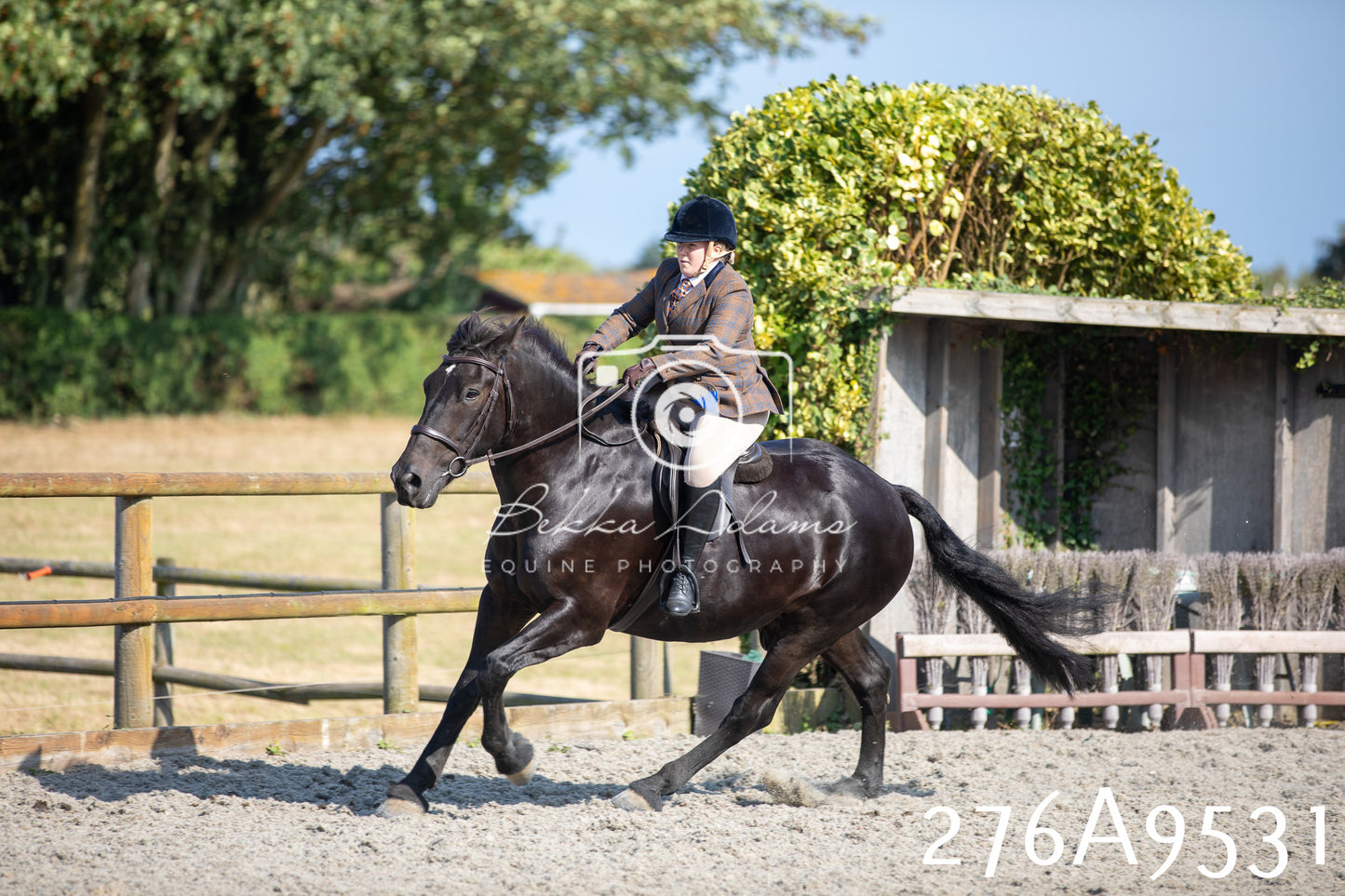 Home Farm Annual Show 2025 - Ridden Pt 3