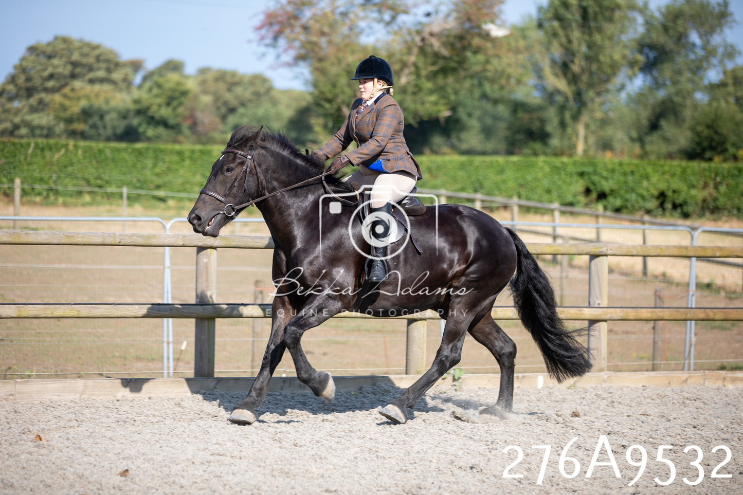 Home Farm Annual Show 2025 - Ridden Pt 3