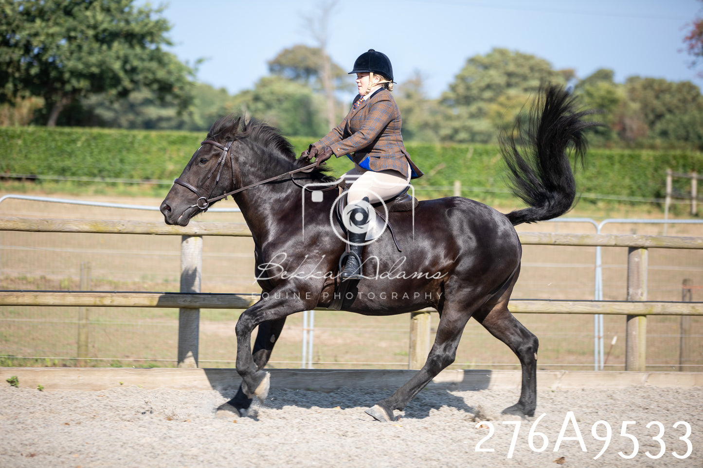 Home Farm Annual Show 2025 - Ridden Pt 3