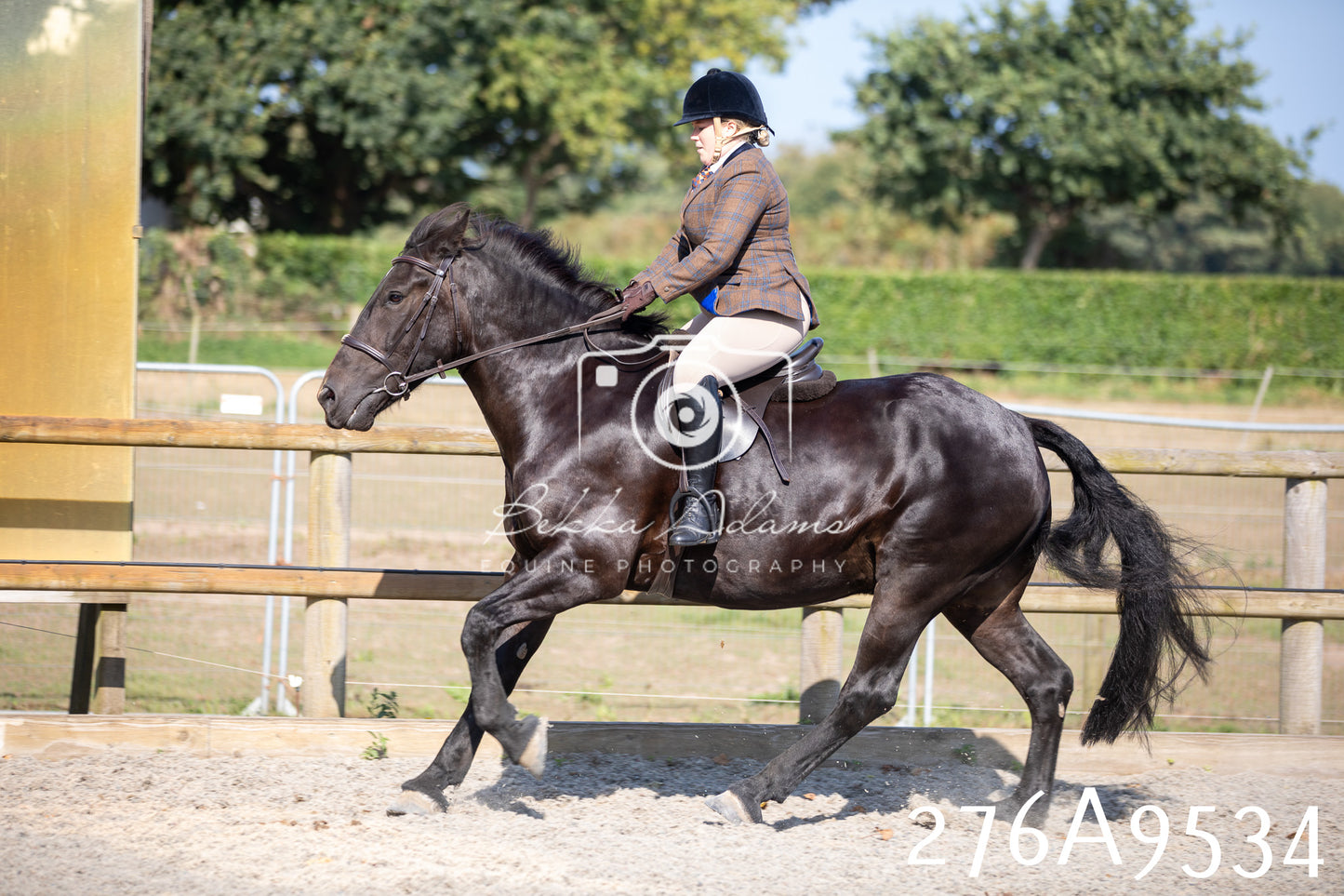 Home Farm Annual Show 2025 - Ridden Pt 3