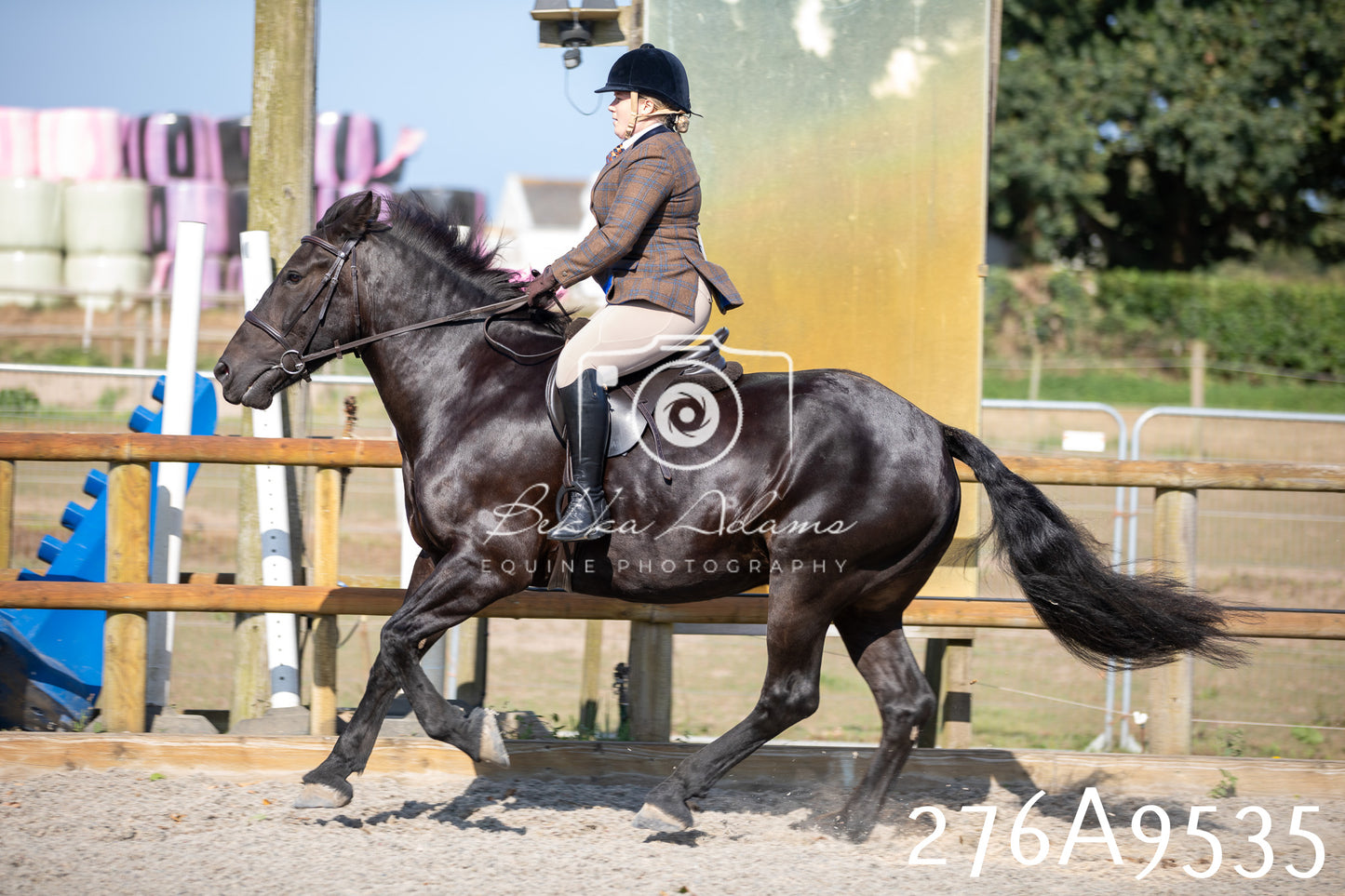 Home Farm Annual Show 2025 - Ridden Pt 3