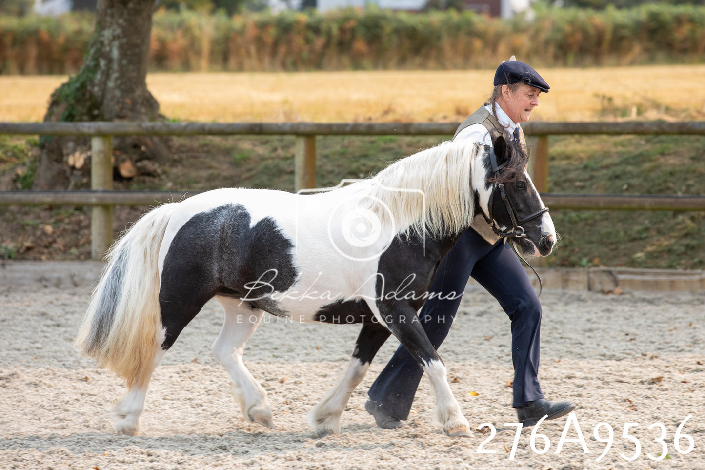 Home Farm Annual Show 2025 - Inhand Pt 2