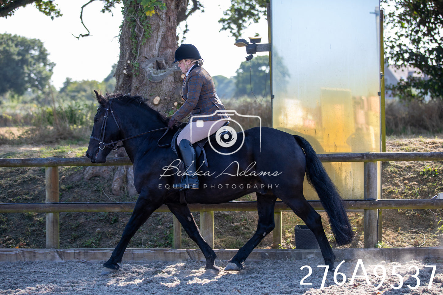 Home Farm Annual Show 2025 - Ridden Pt 3