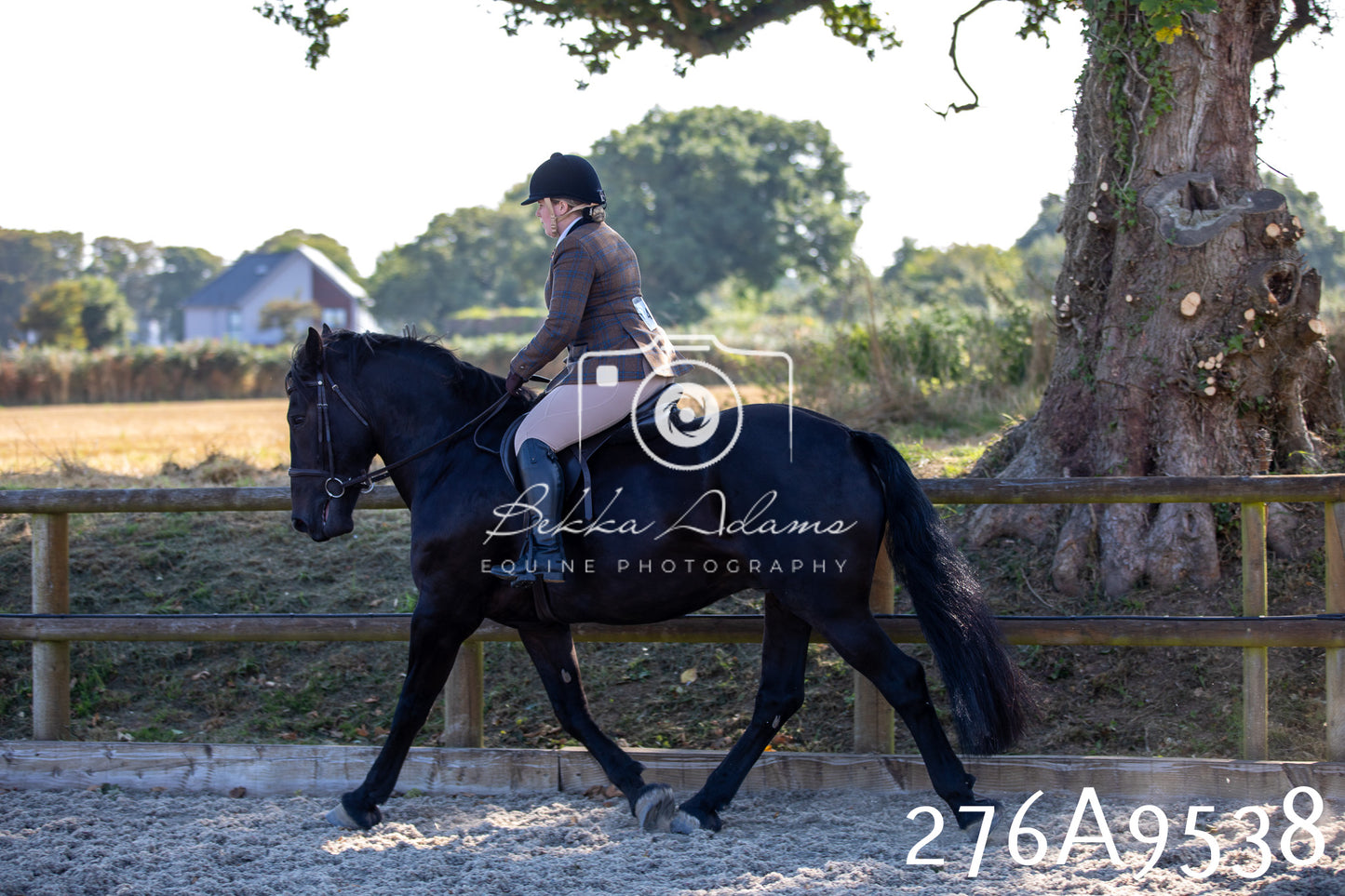 Home Farm Annual Show 2025 - Ridden Pt 3