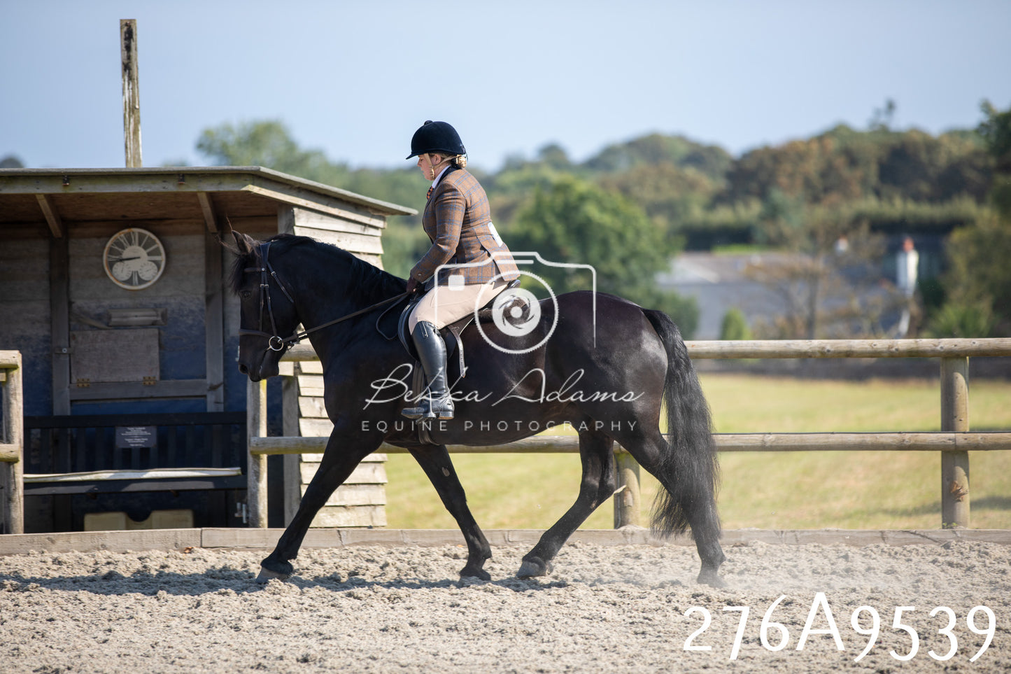 Home Farm Annual Show 2025 - Ridden Pt 3