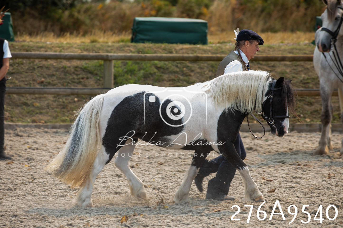Home Farm Annual Show 2025 - Inhand Pt 2