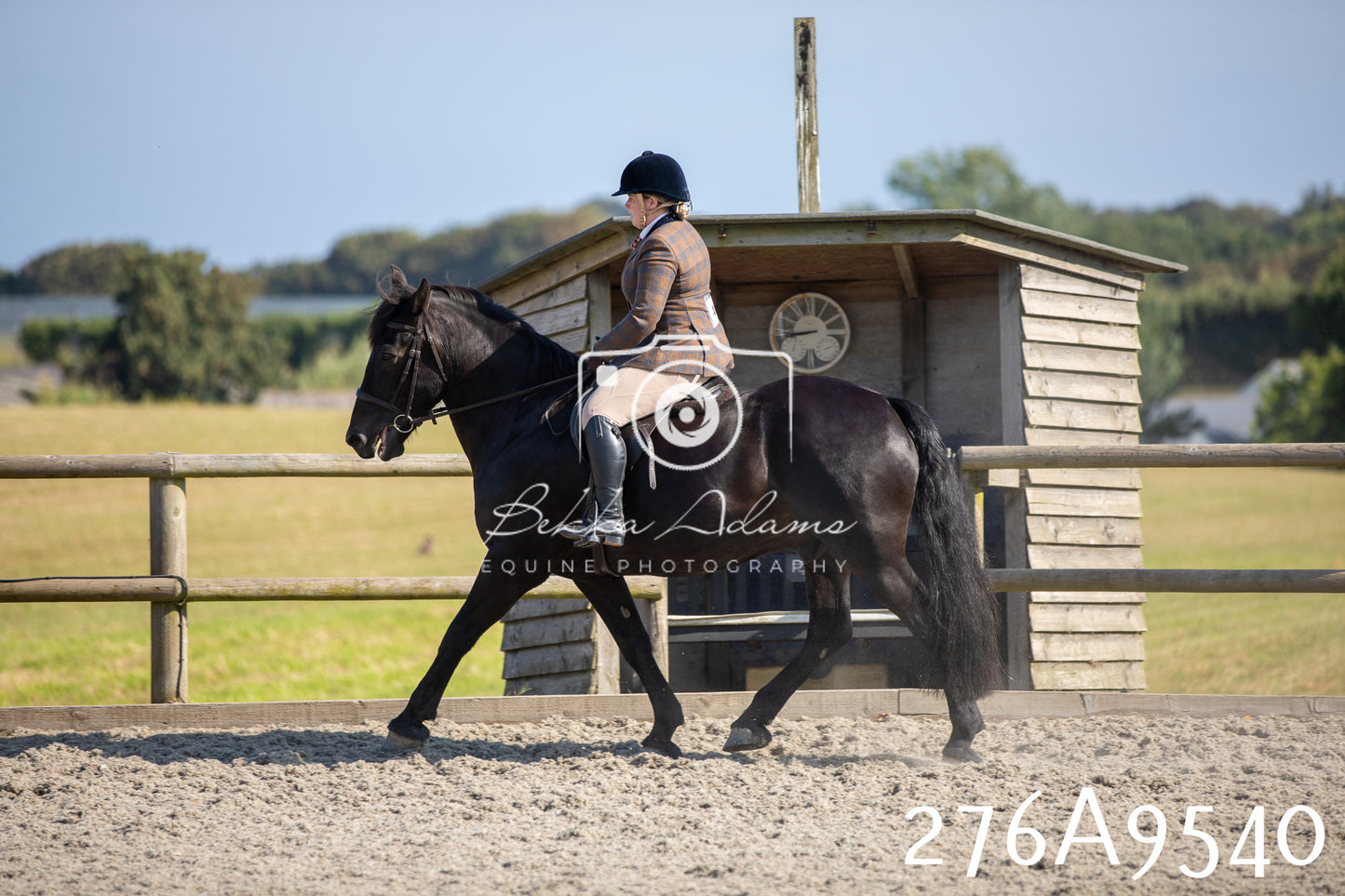 Home Farm Annual Show 2025 - Ridden Pt 3