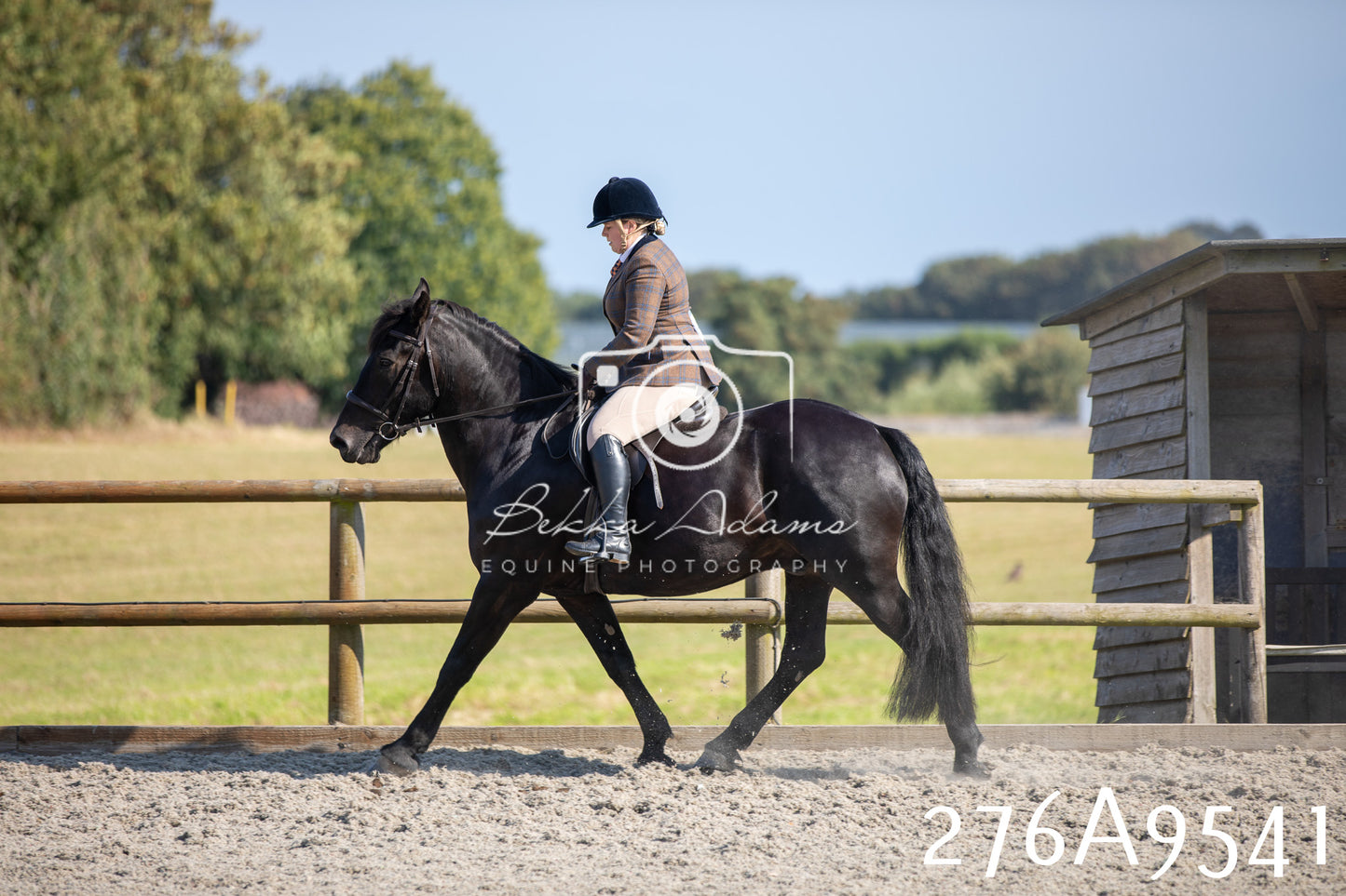 Home Farm Annual Show 2025 - Ridden Pt 3