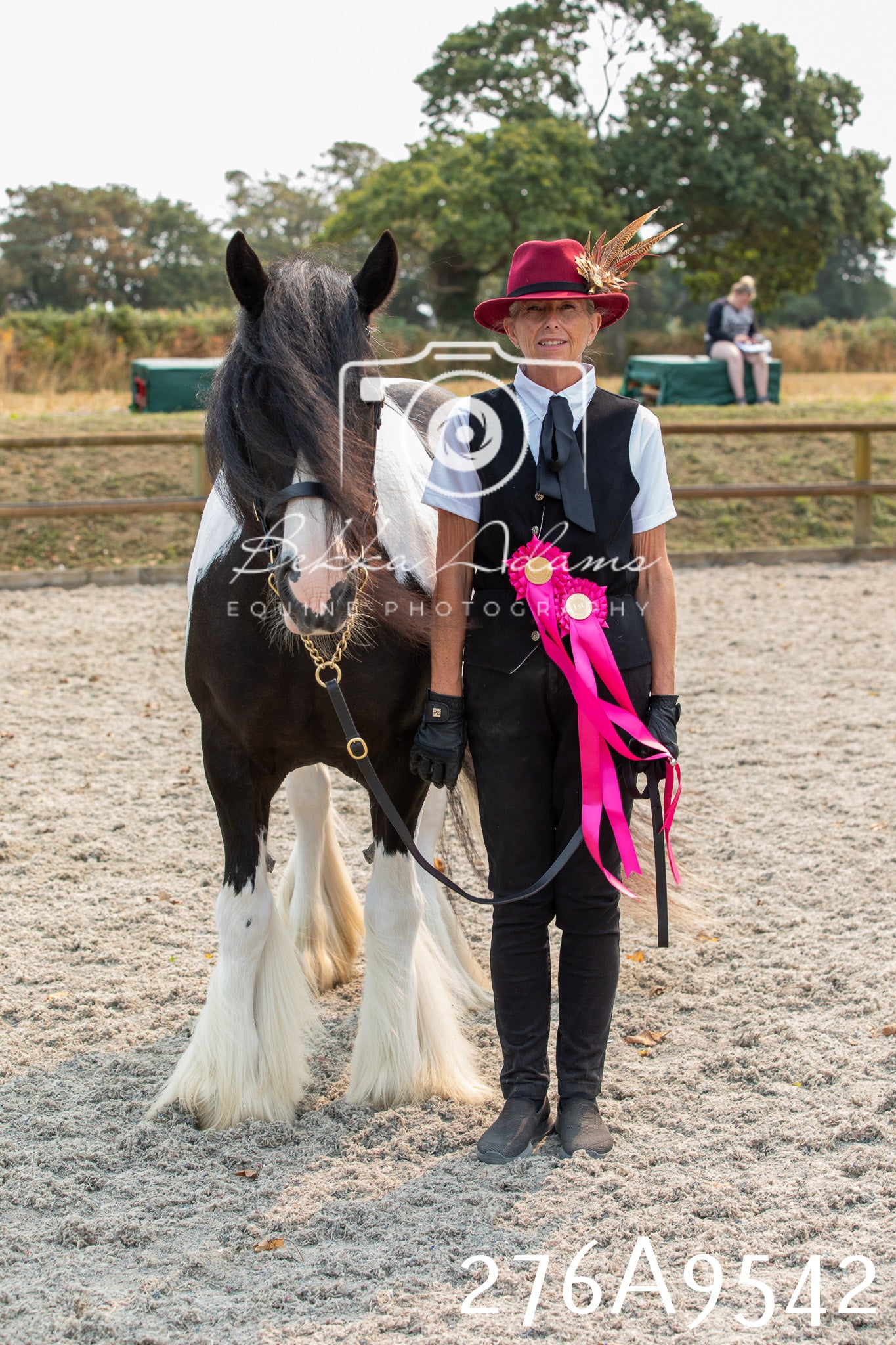 Home Farm Annual Show 2025 - Inhand Pt 2