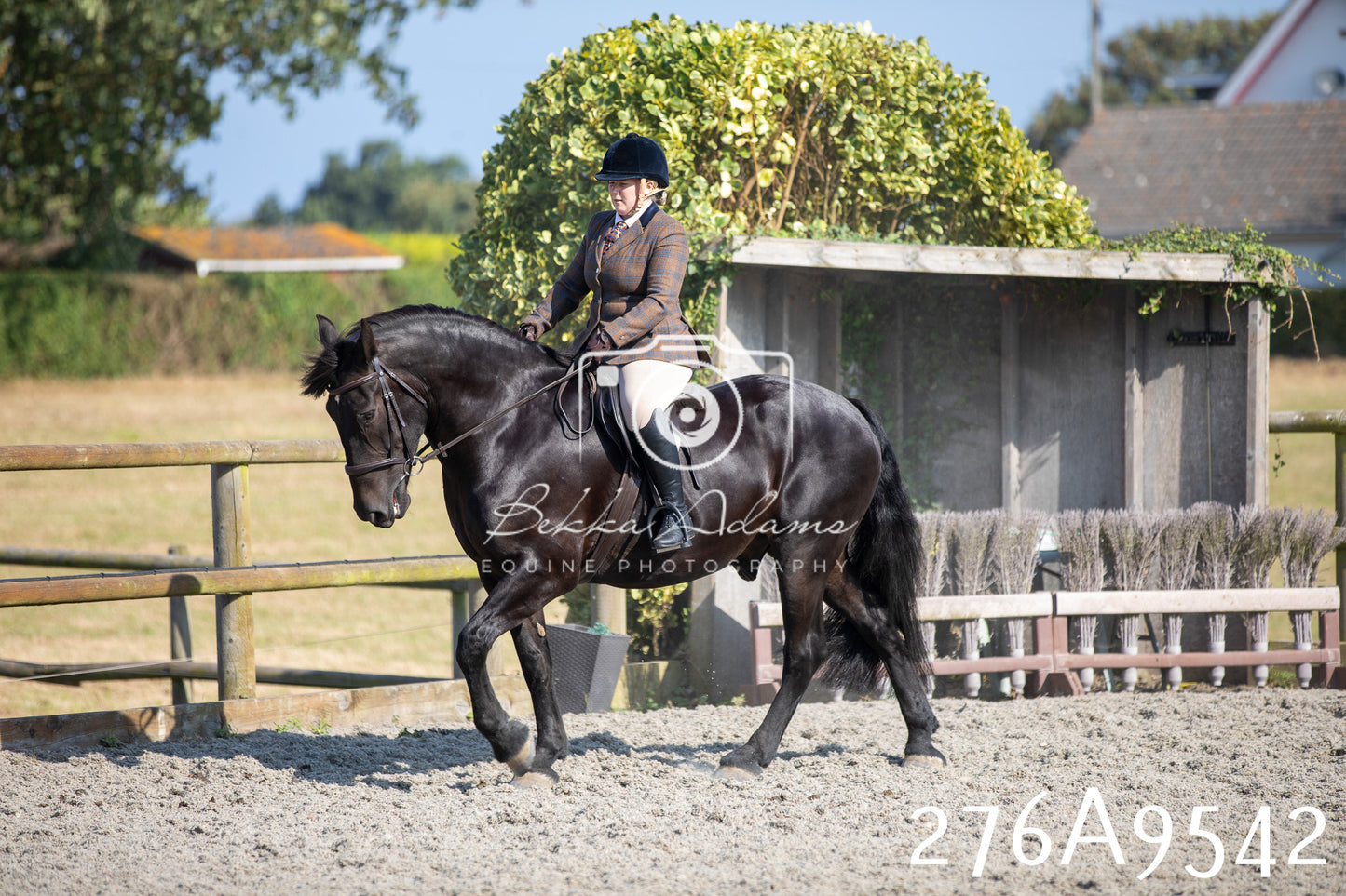 Home Farm Annual Show 2025 - Ridden Pt 3
