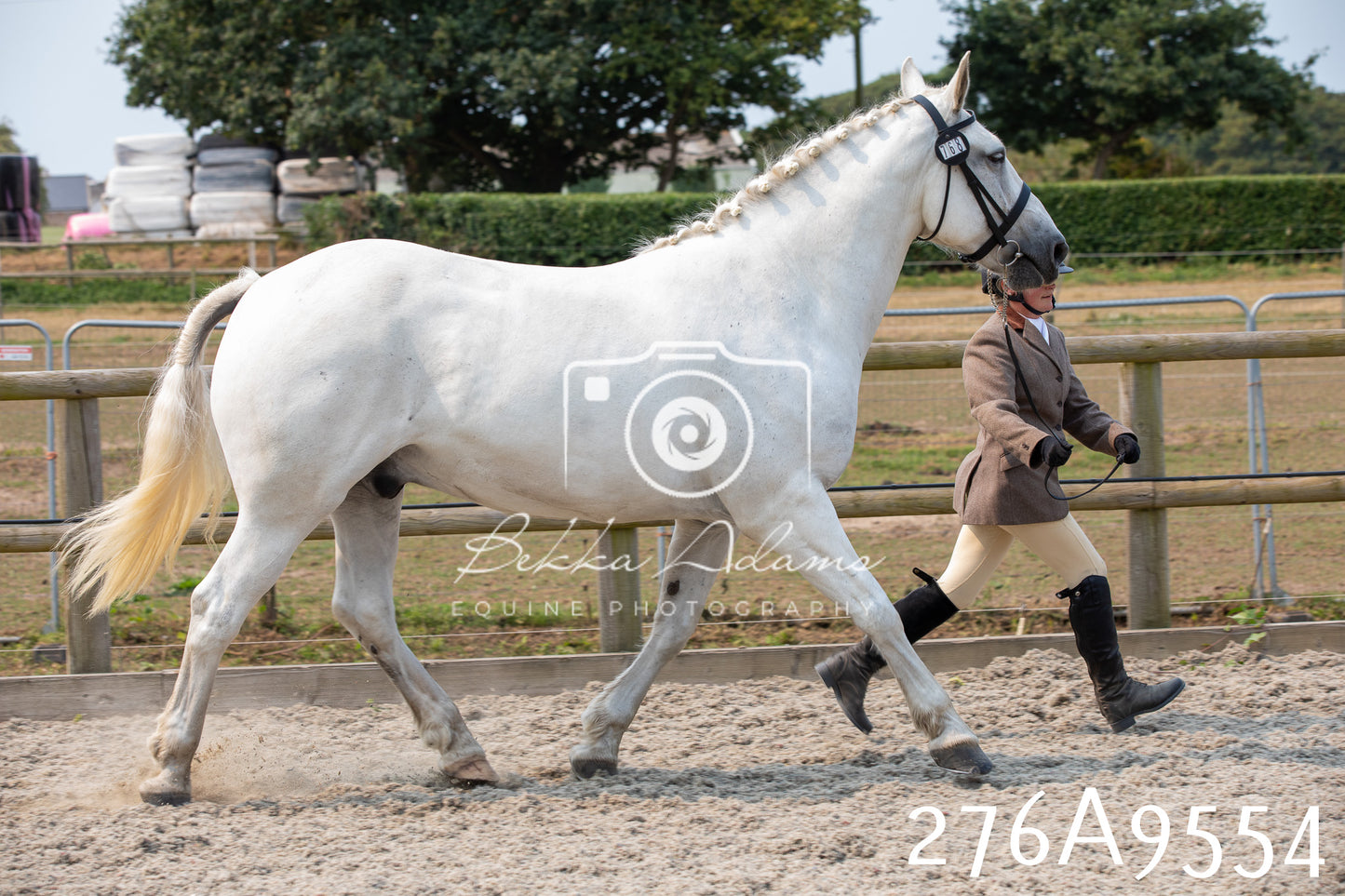 Home Farm Annual Show 2025 - Inhand Pt 2