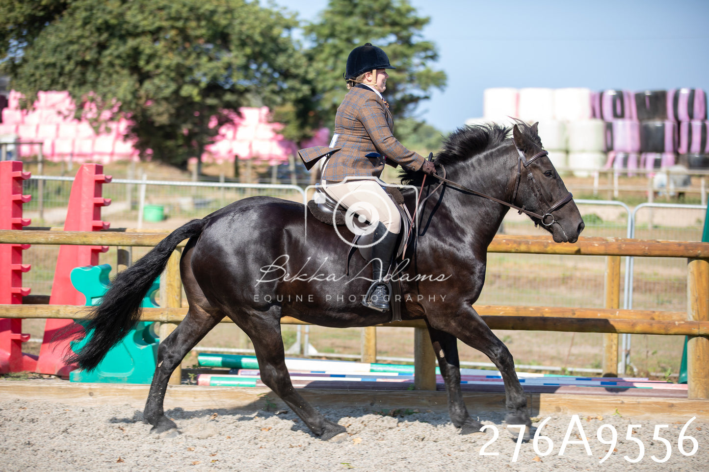 Home Farm Annual Show 2025 - Ridden Pt 2