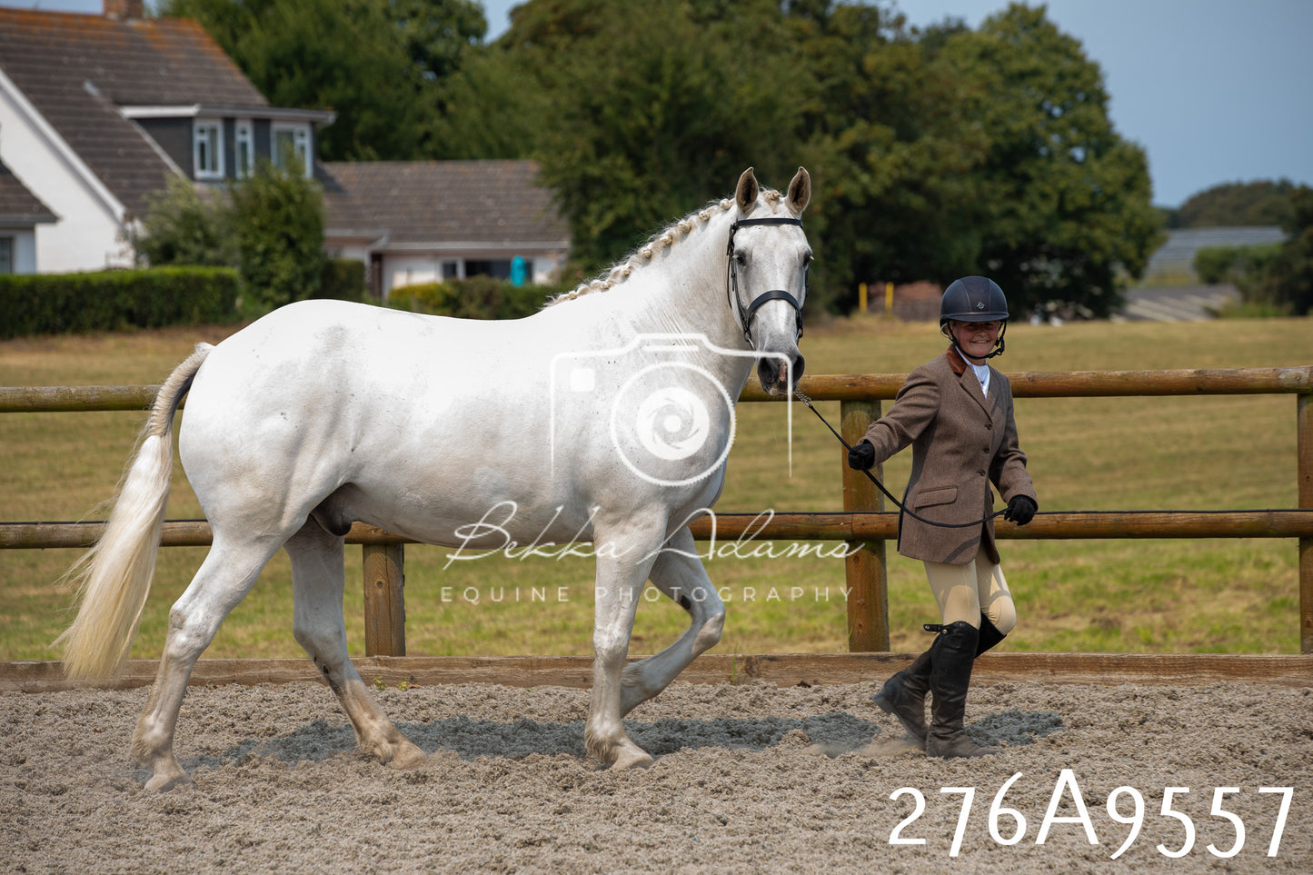 Home Farm Annual Show 2025 - Inhand Pt 2