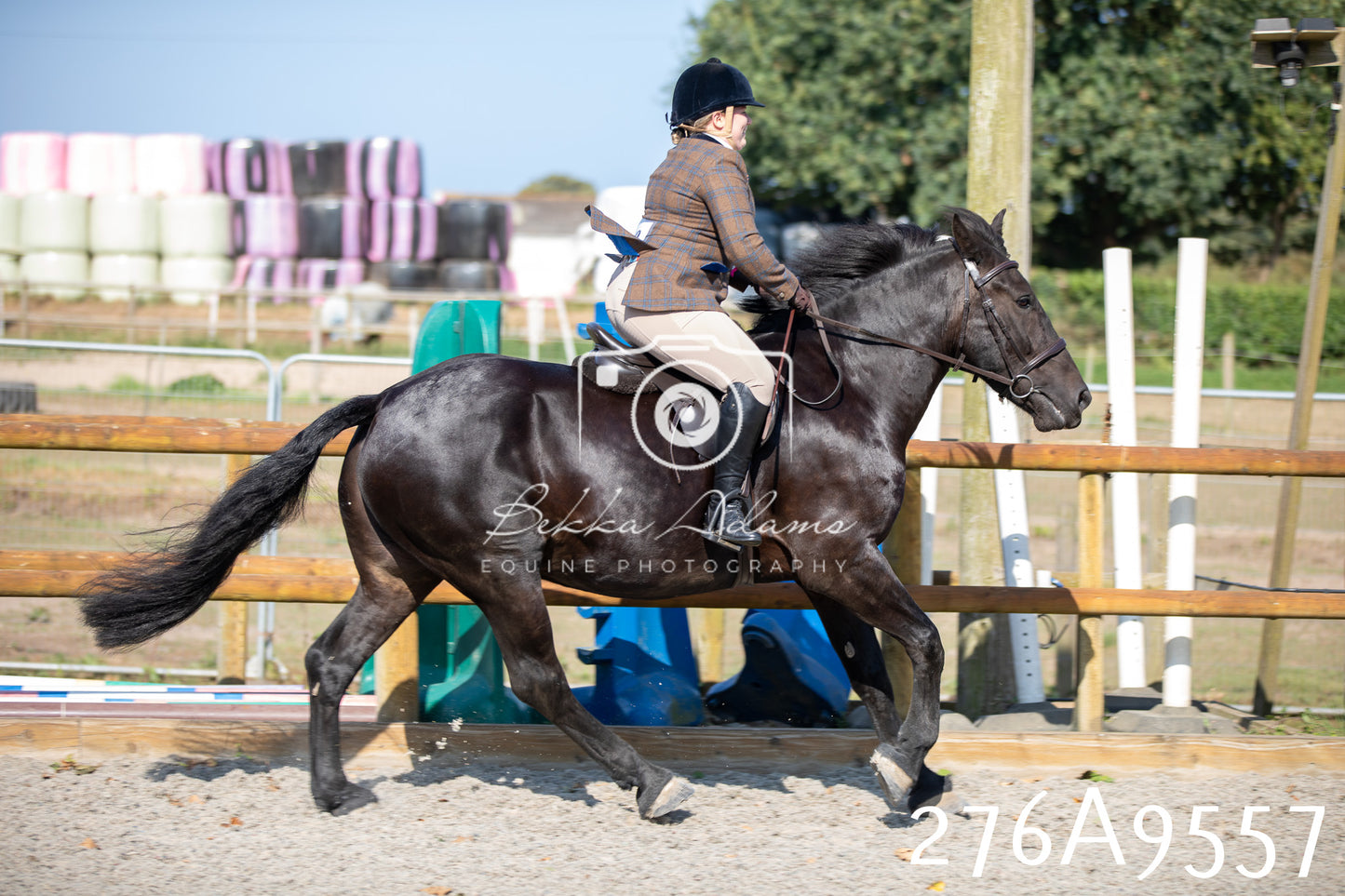 Home Farm Annual Show 2025 - Ridden Pt 2