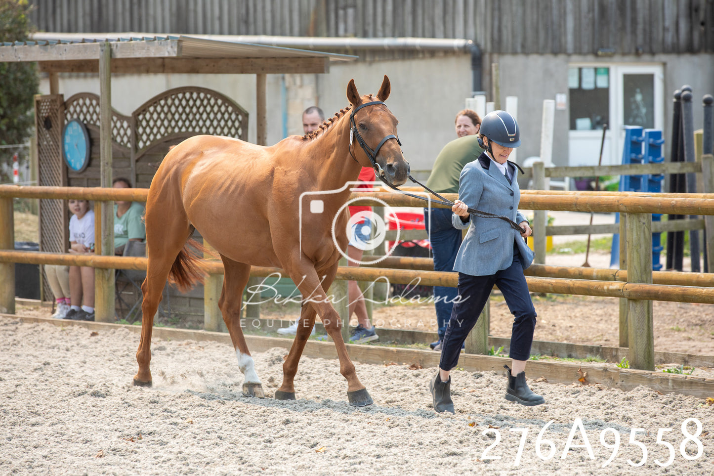 Home Farm Annual Show 2025 - Inhand Pt 2