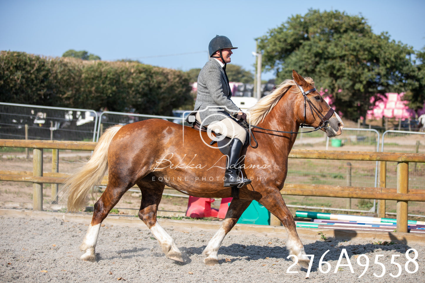 Home Farm Annual Show 2025 - Ridden Pt 2