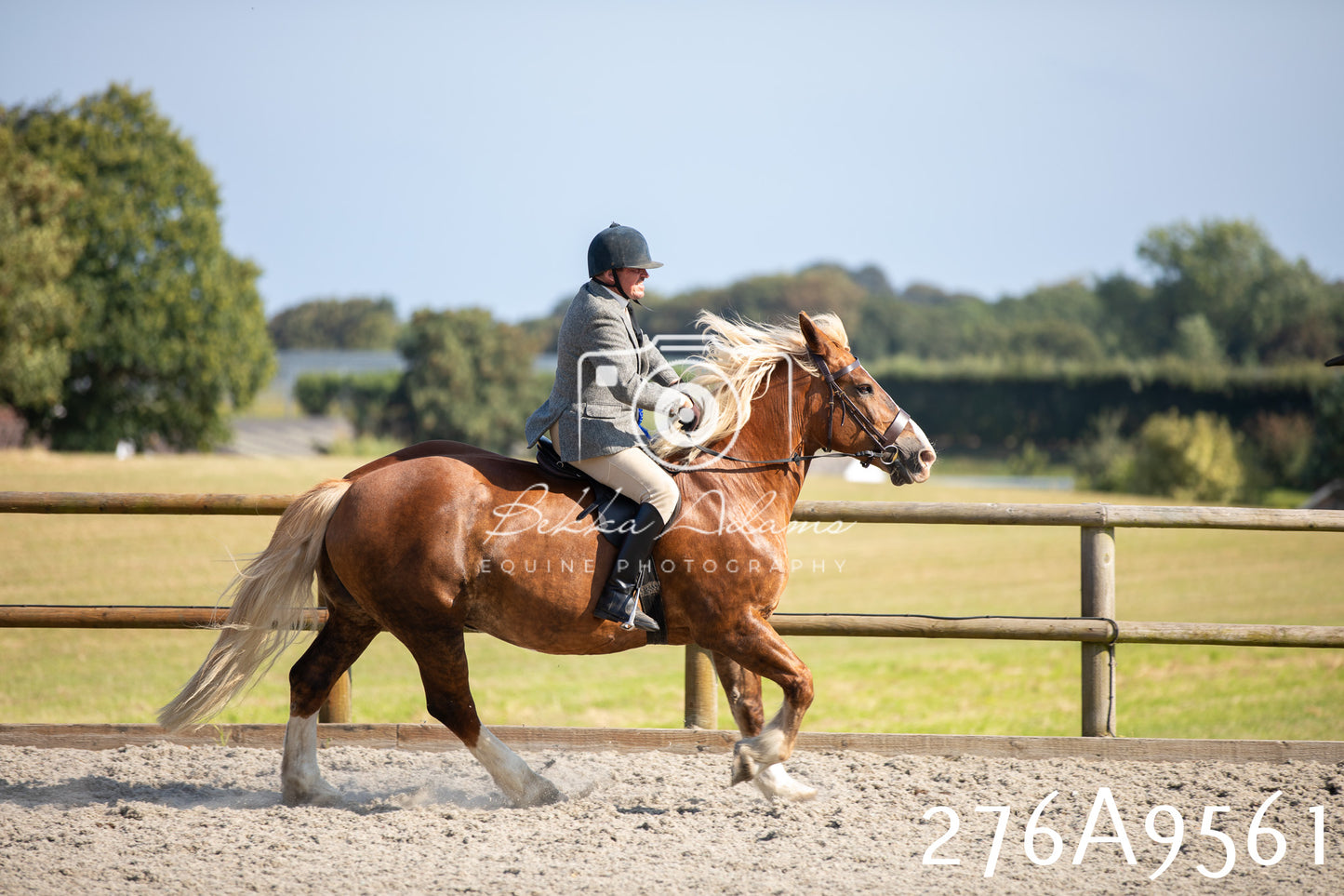 Home Farm Annual Show 2025 - Ridden Pt 2