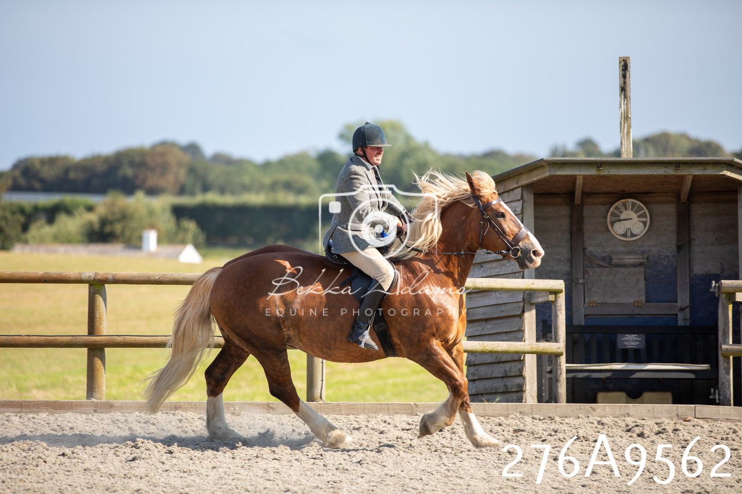 Home Farm Annual Show 2025 - Ridden Pt 2