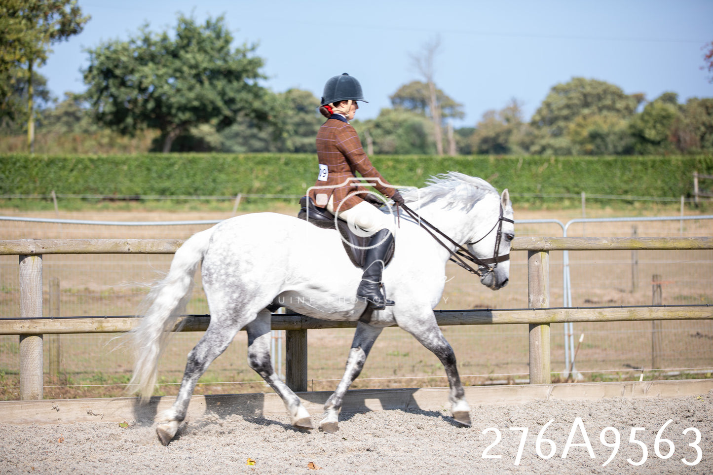 Home Farm Annual Show 2025 - Ridden Pt 2