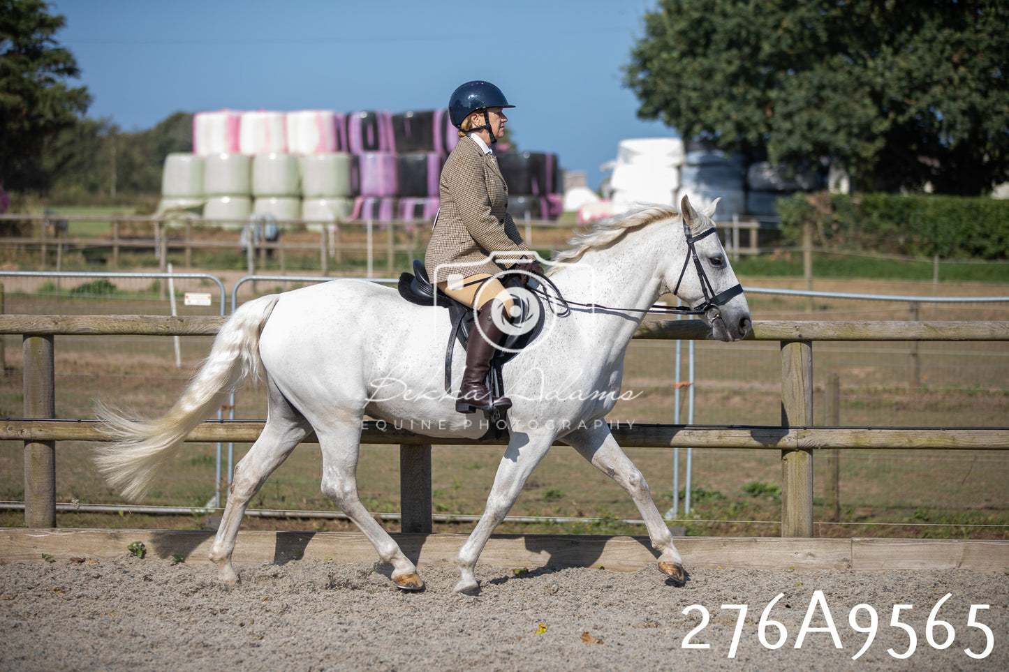 Home Farm Annual Show 2025 - Ridden Pt 2