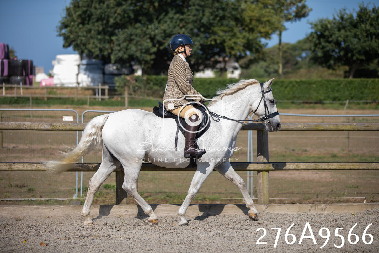 Home Farm Annual Show 2025 - Ridden Pt 2