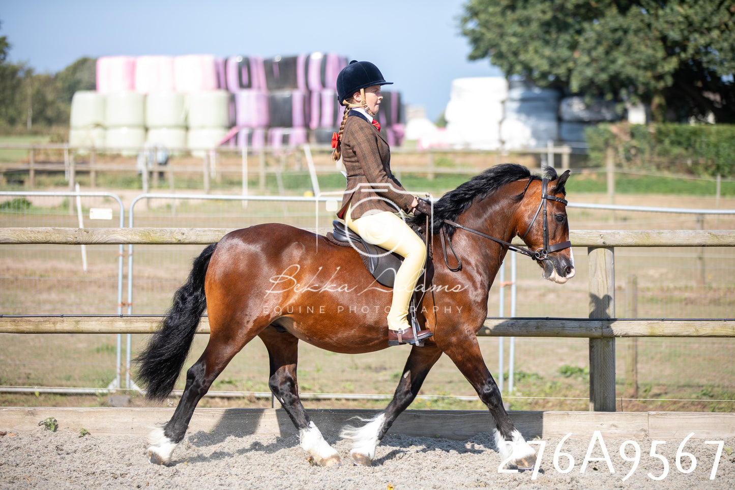 Home Farm Annual Show 2025 - Ridden Pt 2