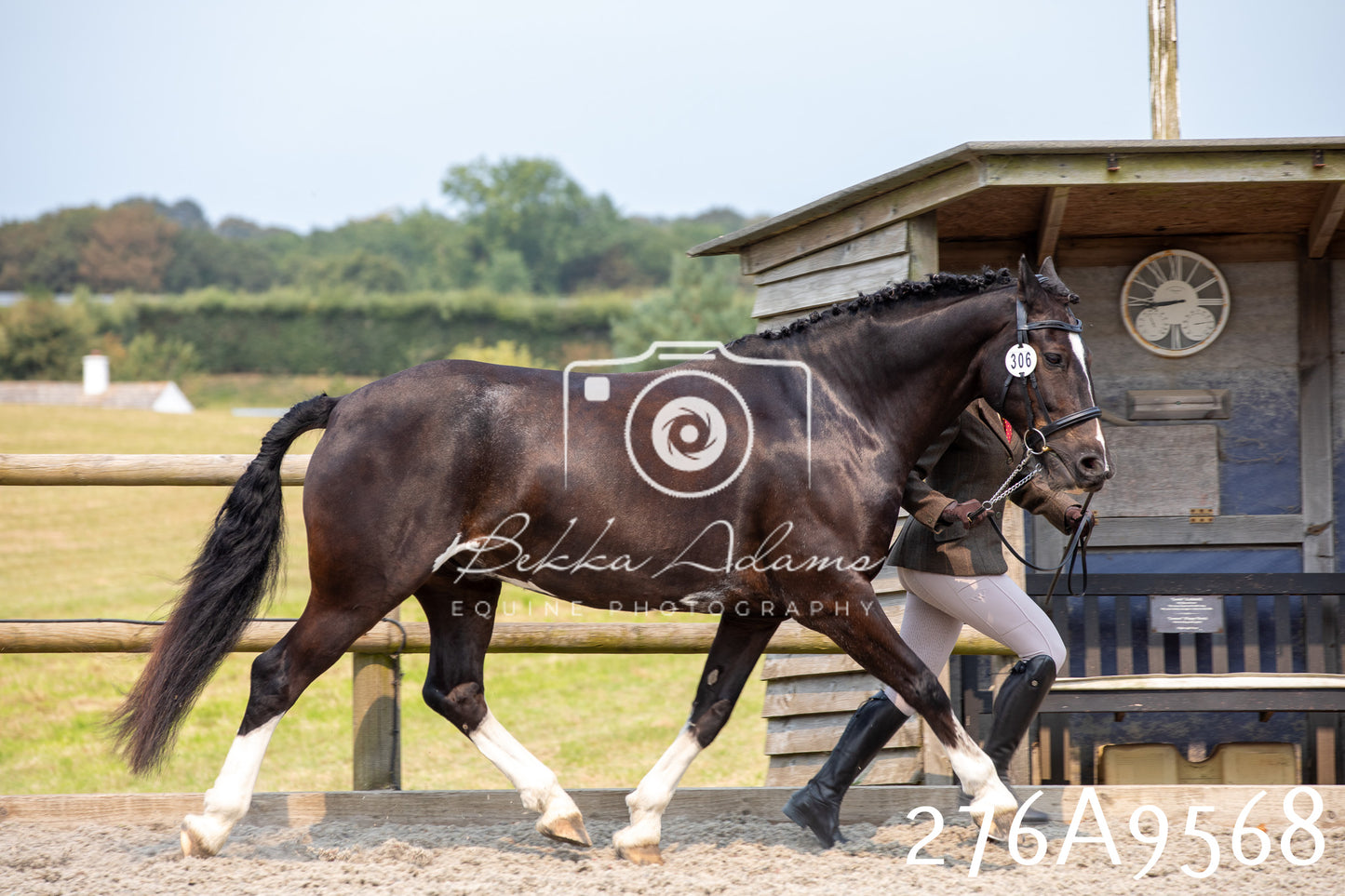 Home Farm Annual Show 2025 - Inhand Pt 2