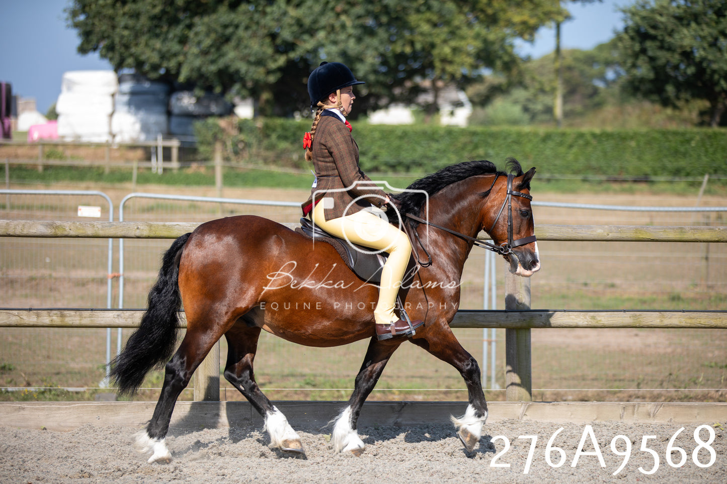 Home Farm Annual Show 2025 - Ridden Pt 2