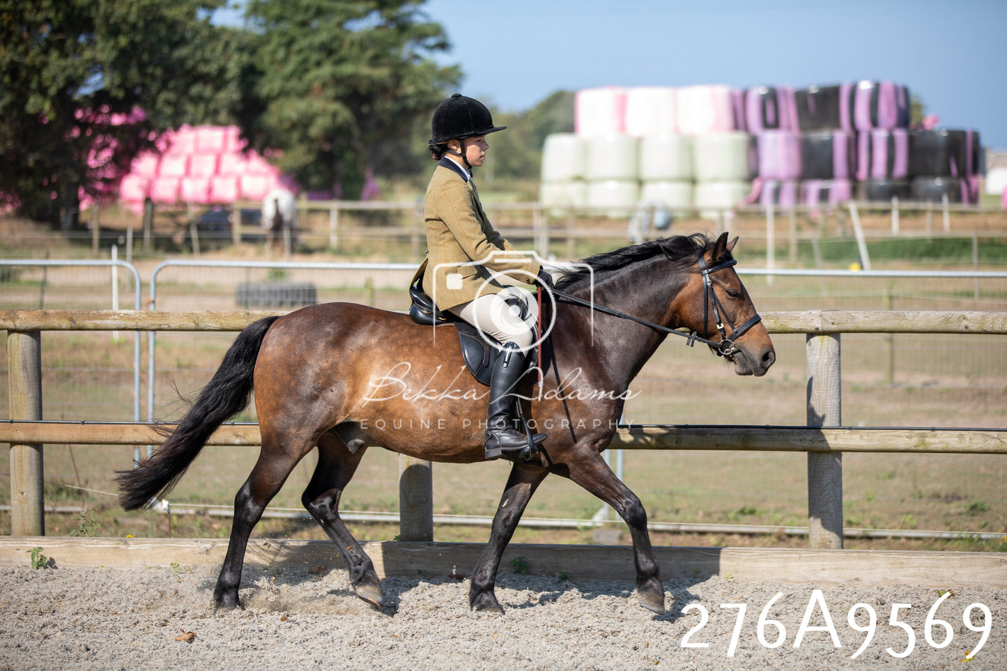 Home Farm Annual Show 2025 - Ridden Pt 2