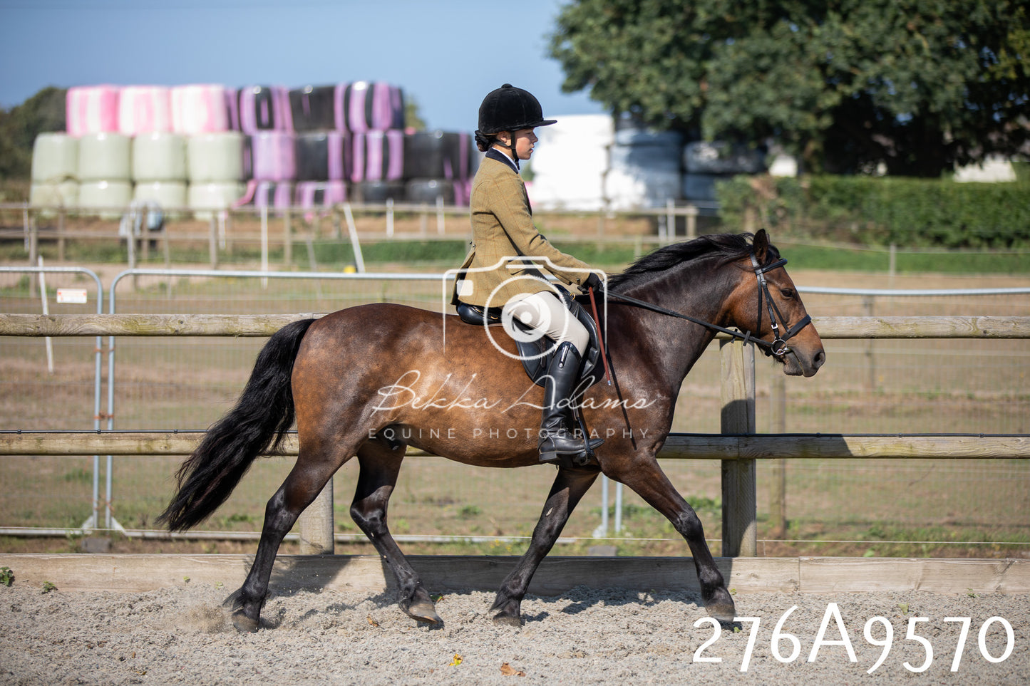 Home Farm Annual Show 2025 - Ridden Pt 2