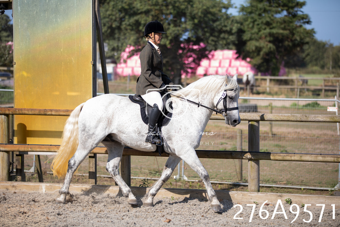 Home Farm Annual Show 2025 - Ridden Pt 2