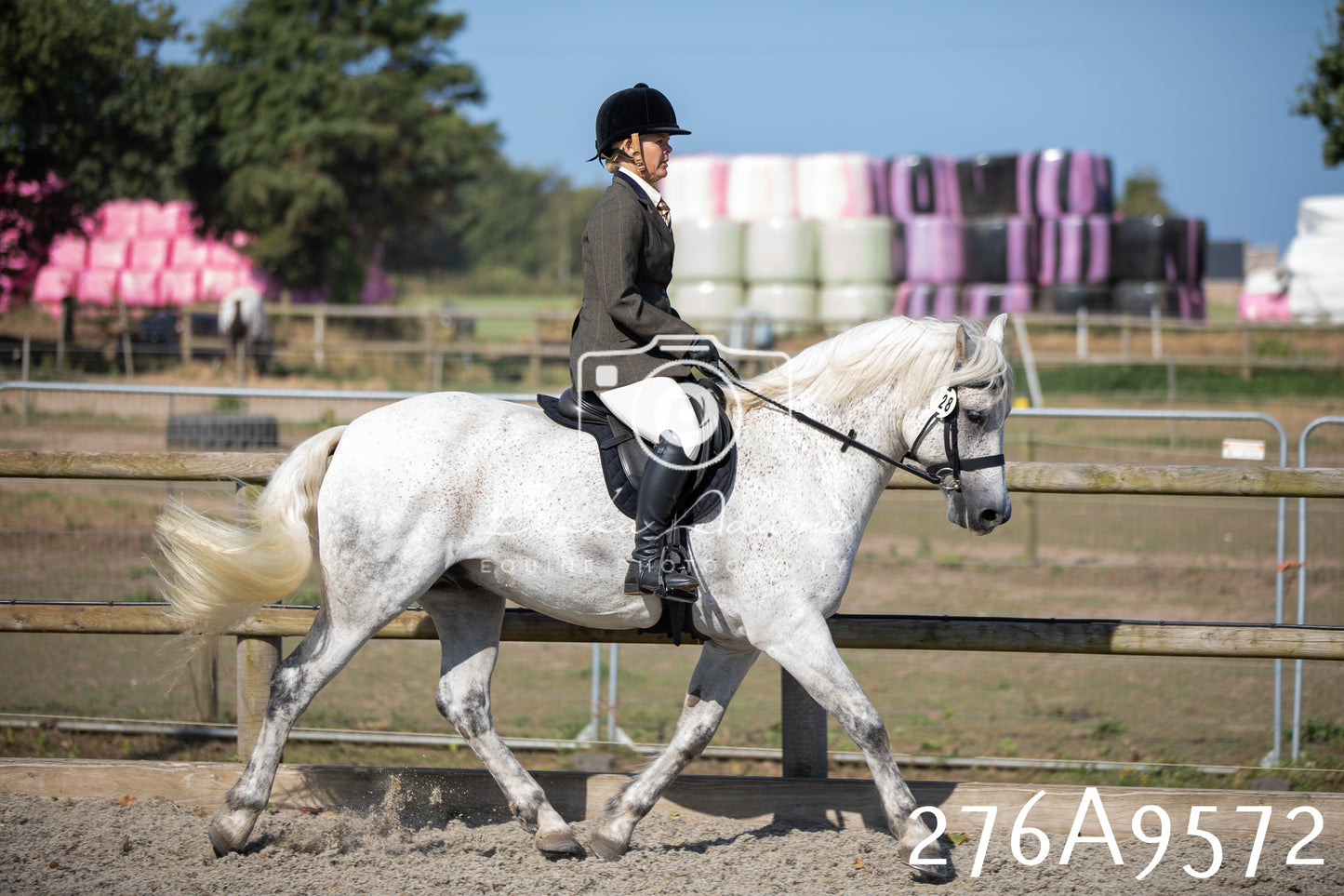 Home Farm Annual Show 2025 - Ridden Pt 2