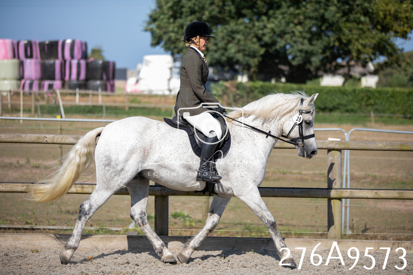 Home Farm Annual Show 2025 - Ridden Pt 2
