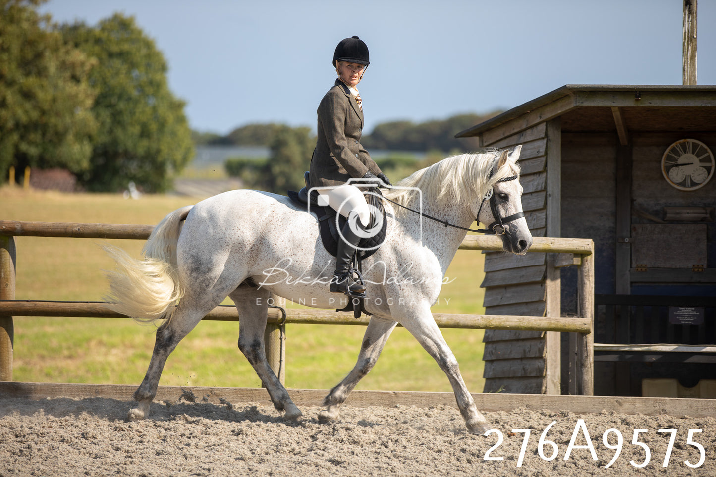 Home Farm Annual Show 2025 - Ridden Pt 2