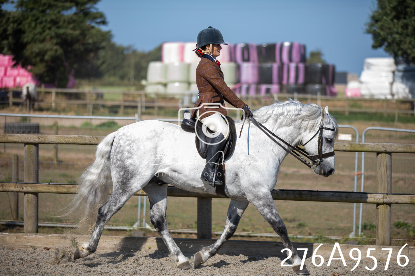 Home Farm Annual Show 2025 - Ridden Pt 2