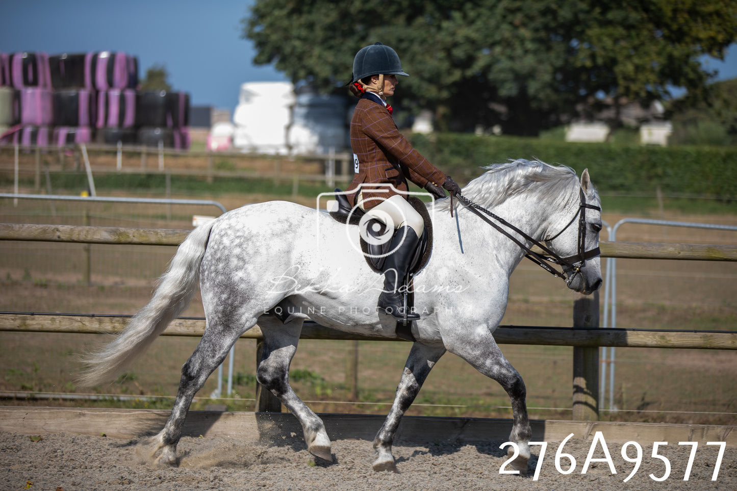 Home Farm Annual Show 2025 - Ridden Pt 2