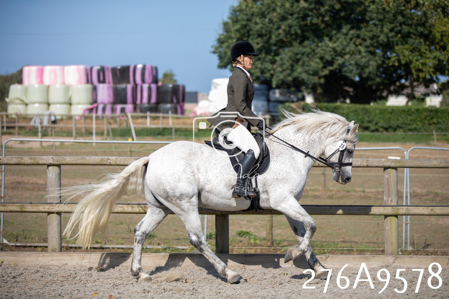 Home Farm Annual Show 2025 - Ridden Pt 2