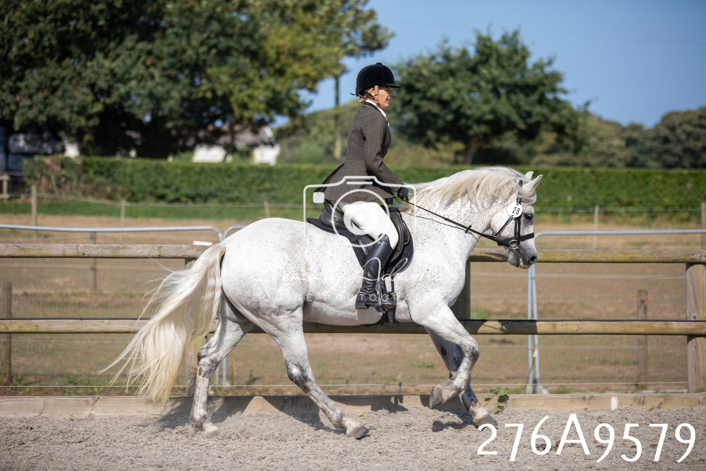 Home Farm Annual Show 2025 - Ridden Pt 2