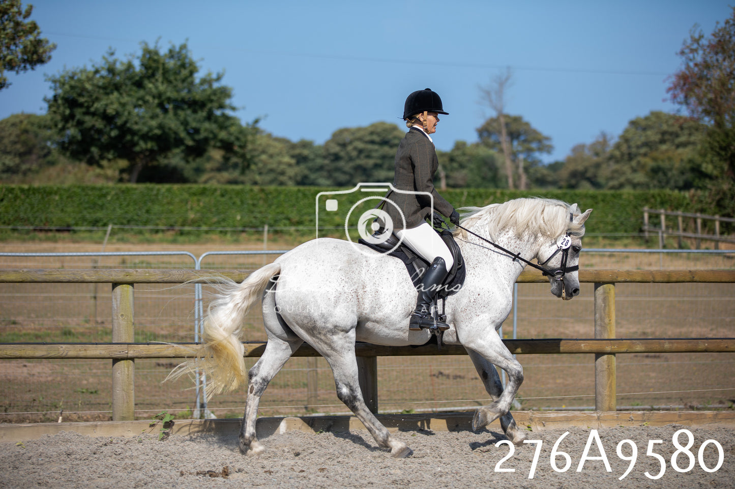 Home Farm Annual Show 2025 - Ridden Pt 2