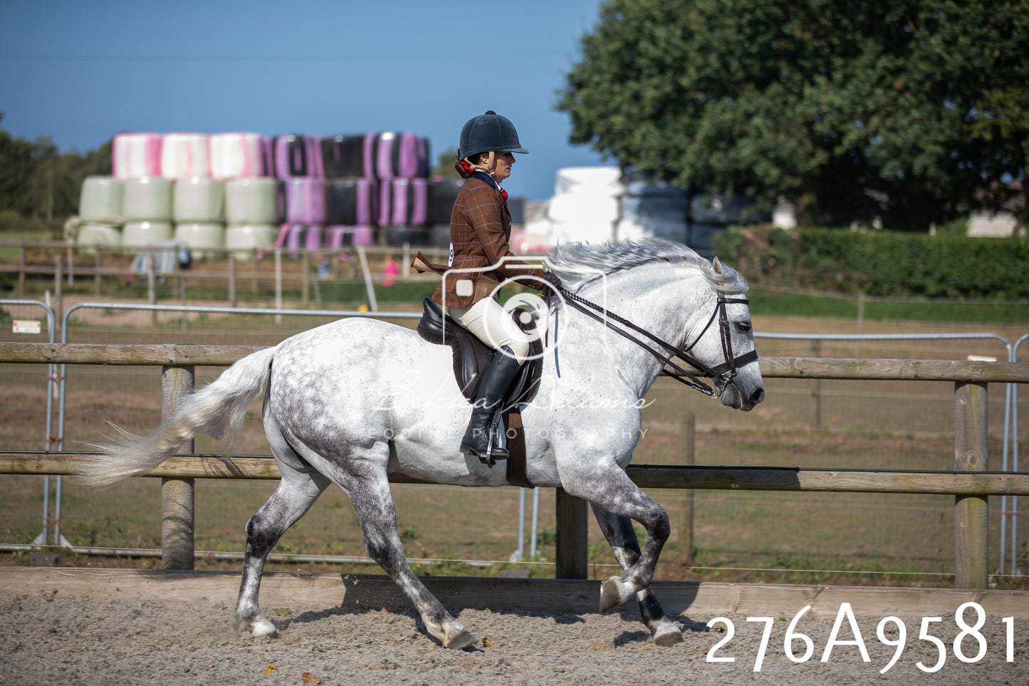 Home Farm Annual Show 2025 - Ridden Pt 2