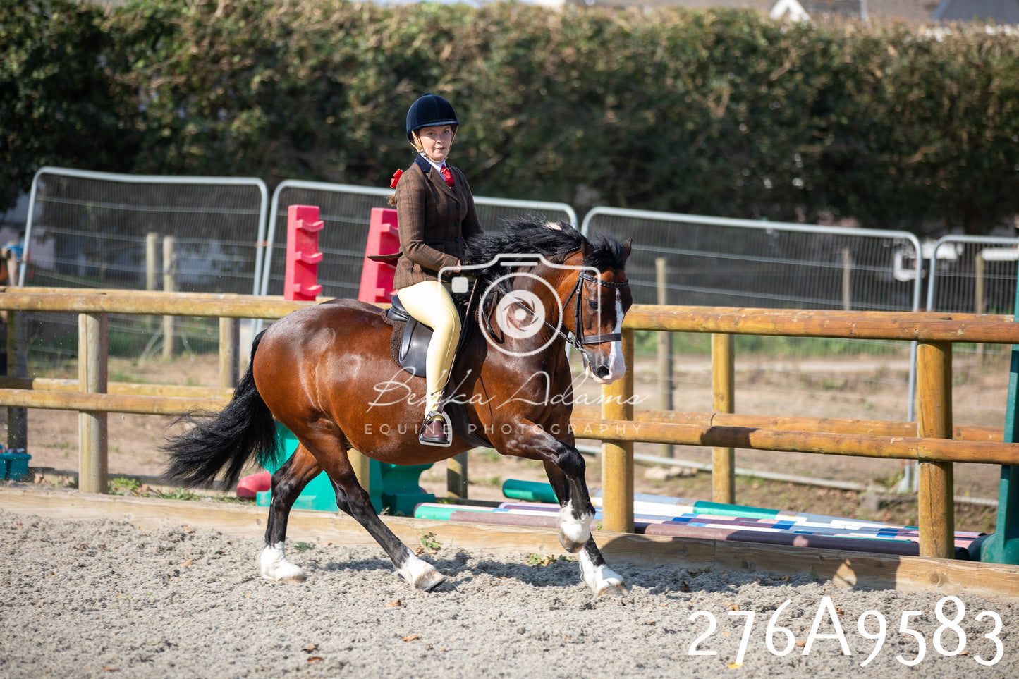 Home Farm Annual Show 2025 - Ridden Pt 2